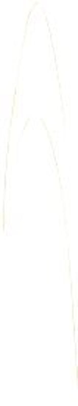 Starfrit 093898006NEW1 Bread Knife, 8 in L Blade, High-Carbon Stainless Steel Blade, White/Yellow Handle