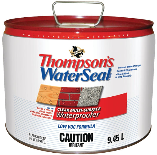 Thompson's WaterSeal THCP40011-02 Water Sealant, Clear