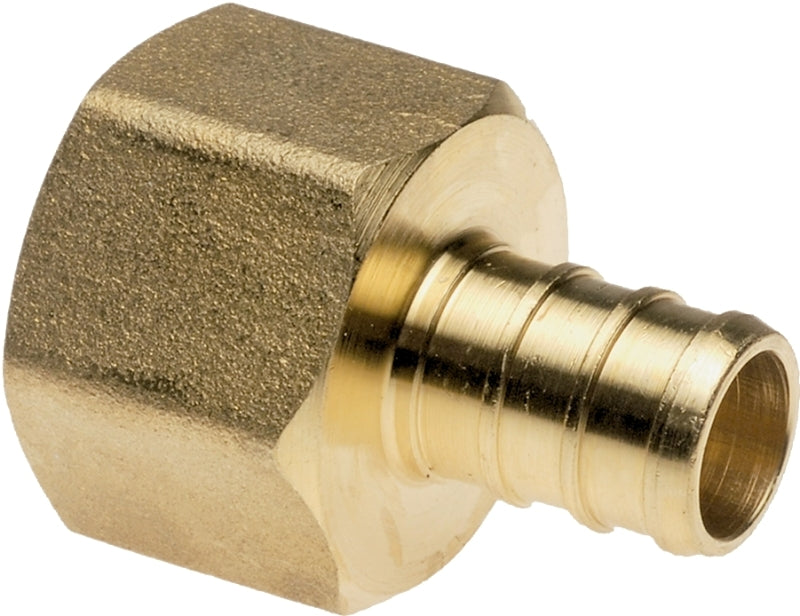 Apollo Valves CPXFA1212 Pipe Adapter, 1/2 in, PEX x FPT, Brass