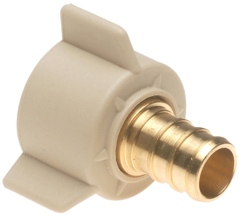 Apollo Valves CPXFB1212S Pipe Adapter, 1/2 in, PEX x FPT, Brass