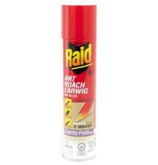 Raid 639734 Insect Killer, 350 g