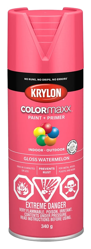 Krylon 455440007 Enamel Spray Paint, Gloss, Watermelon, 12 oz, Can