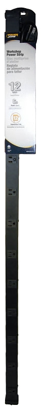 PowerZone OR800012 Power Outlet Strip, 12 -Socket, 15 A, 125 V