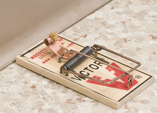 Victor M040 Mouse Trap